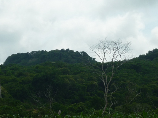 La Región Caribe cumpliendo con las metas de conservación a nivel mundial