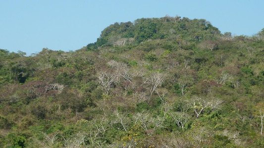 La Región Caribe cumpliendo con las metas de conservación a nivel mundial