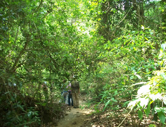 El Caribe le apuesta a la Conservación, ya son 380 mil hectáreas en áreas protegidas regionales.
