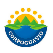 Corporación Autónoma Regional del Guavio - CORPOGUAVIO