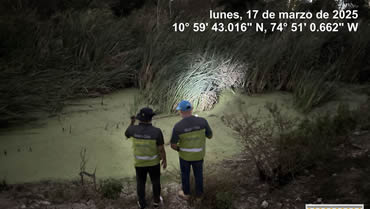 C.R.A. mantendrá monitoreo de la fauna en el sector de Alameda del Río