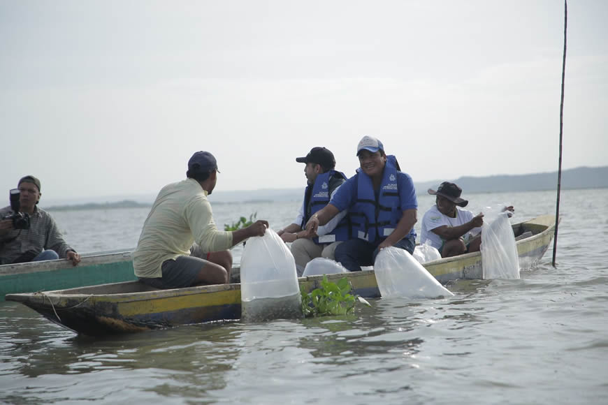 FAO otorga reconocimiento al ‘Plan + Pescao’ por su aporte a los sistemas alimentarios acuáticos sostenibles