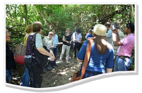 Cooperación alemana financiará proyectos de conservación ambiental en el Atlántico